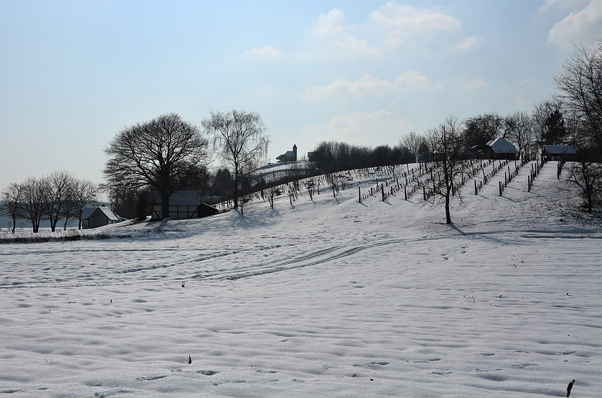 Snowy Winter Landscape with Vineyard Rows and Distant Church