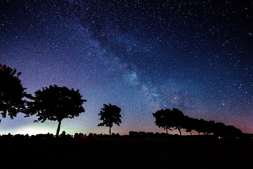 Milky Way Galaxy Over Silhouetted Trees at Night