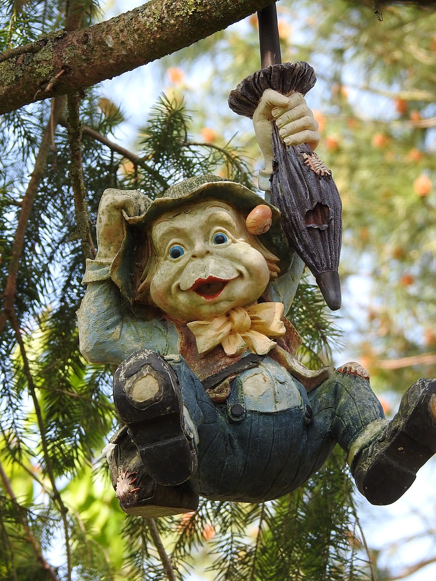 Weathered Garden Gnome Sculpture Hanging from Pine Tree Branch