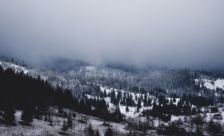 Misty Snow-Covered Mountain Forest in Winter