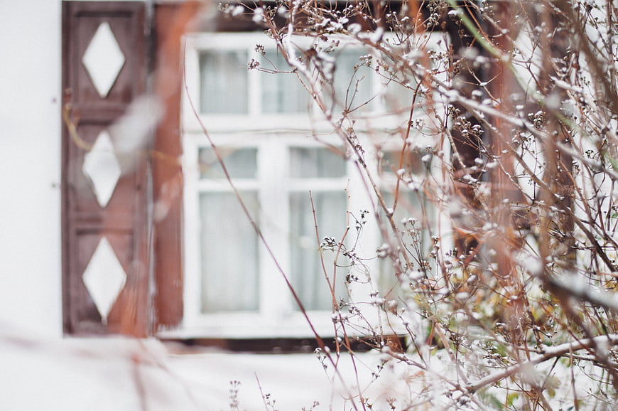 Snowy winter branches in front of a rustic house window