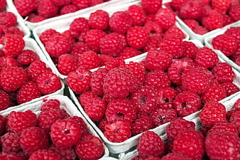 Fresh Red Raspberries in White Cardboard Containers