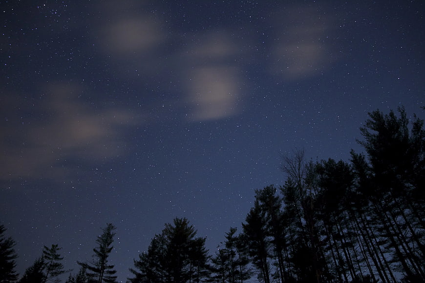 Silhouette of Pine Trees Against Starry Night Sky