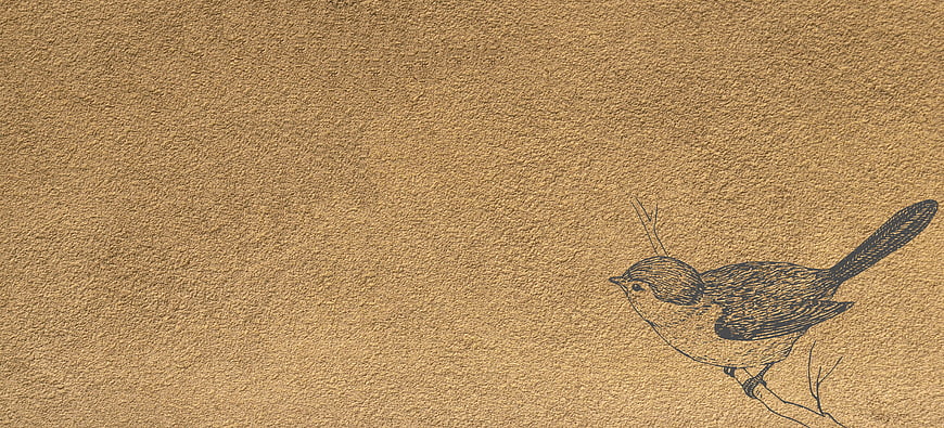 Vintage bird illustration on textured brown paper background