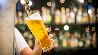 Pouring Draft Beer into Glass at Bar