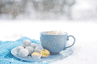 Hot Cocoa and Snowball Cookies in Winter Snow