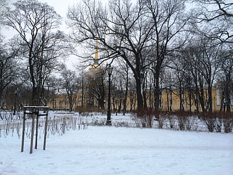 Winter Park Scene with Golden Spire in St. Petersburg