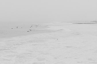 Surfers in Foggy Ocean Waves Black and White