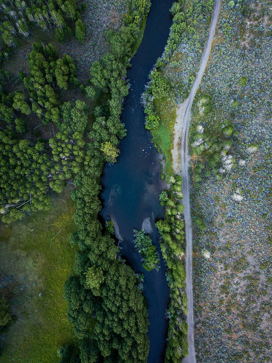 Aerial View of River and Road Through Forest