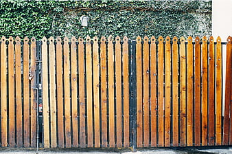 Wooden Picket Fence with Ivy Background