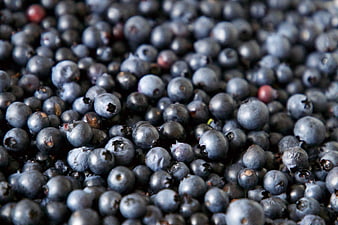 Close-up texture of fresh blueberries filling the frame