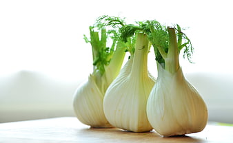 Fresh Fennel Bulbs With Green Tops On Wooden Surface