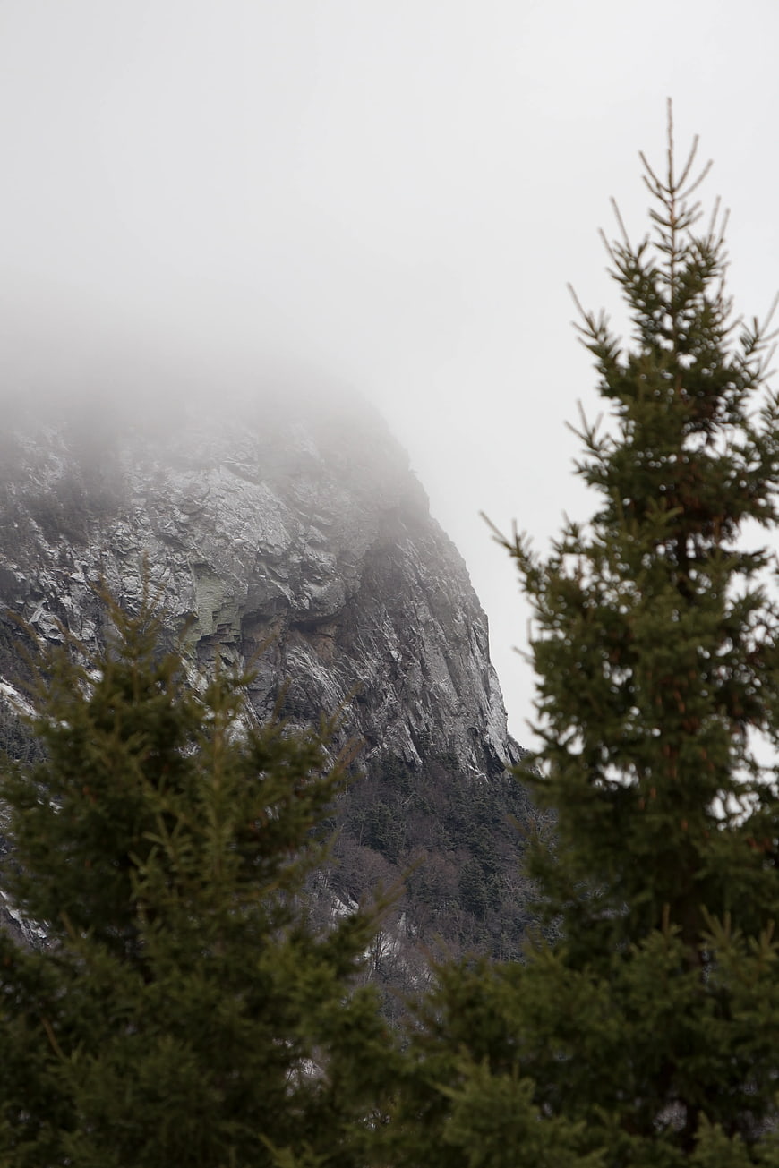 Misty Mountain Peak with Pine Trees in Foreground