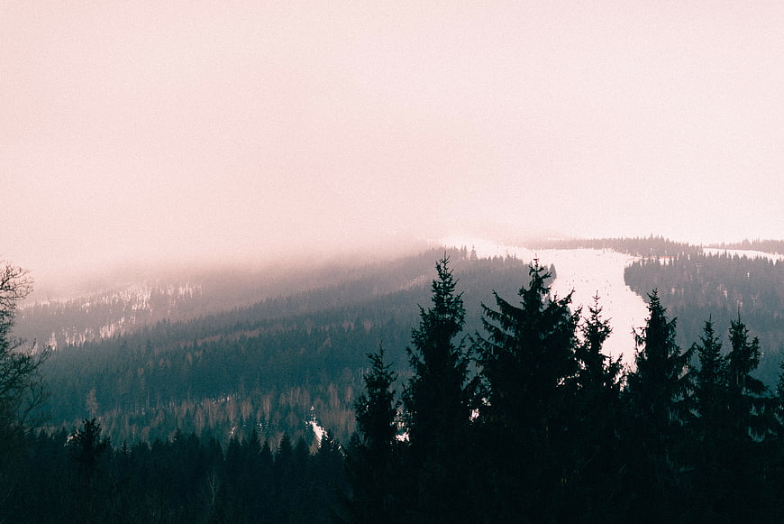 Misty Winter Forest Landscape with Frozen Lake