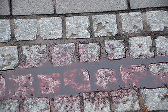 Blood Stain on Wet Cobblestone Street Surface