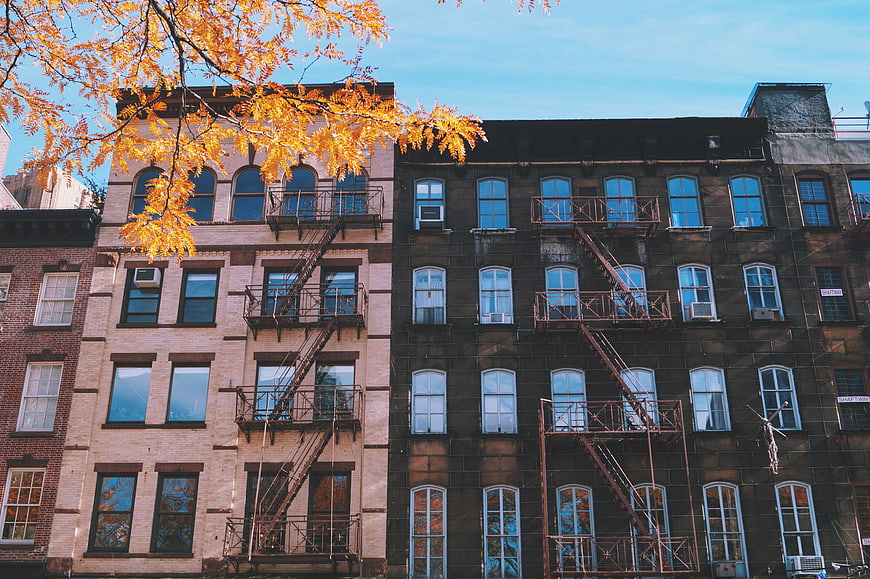 Autumn leaves framing historic brownstone buildings with fire escapes