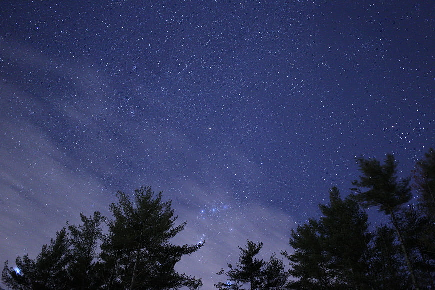 Starry Night Sky Over Pine Forest Silhouette