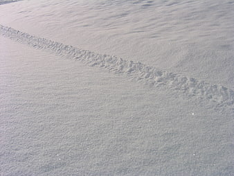 Diagonal Snow Tracks on White Winter Ground