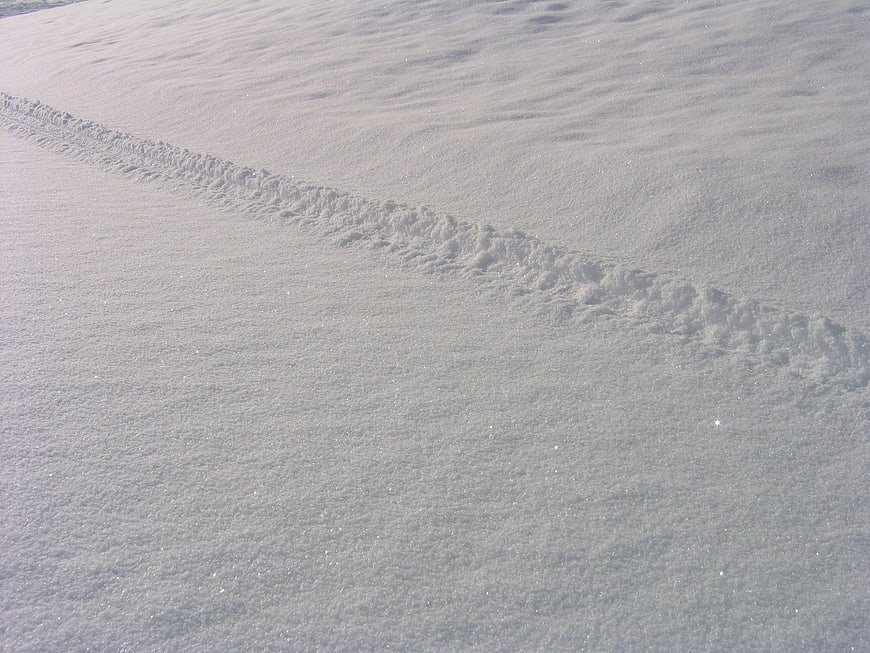 Diagonal Snow Tracks on White Winter Ground