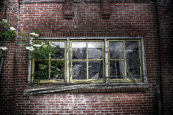 Broken window in abandoned red brick building with overgrown plants