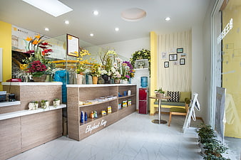 Bright Modern Laundry Shop Interior With Floral Display And Reception Desk