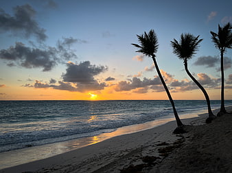 Tropical beach sunset with palm trees silhouettes