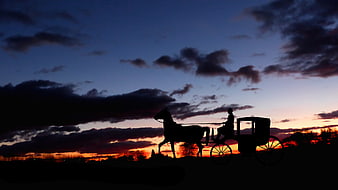 Silhouette of Horse and Carriage at Sunset