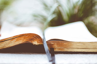 Close-up of Open Vintage Book with Blank Pages