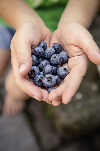 Child's Hands Holding Fresh Blueberries Outdoors