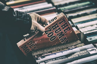 Hand selecting vintage book The Human Zoo from stack