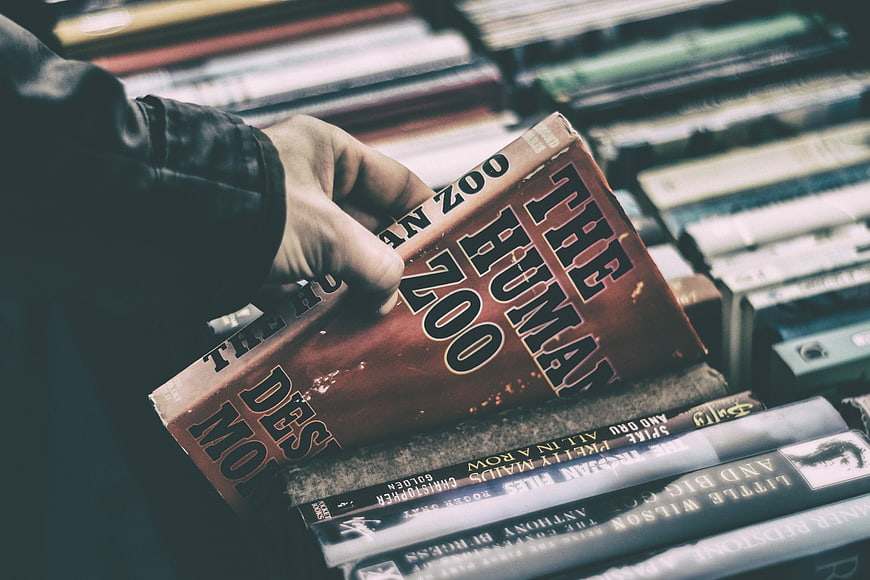 Hand selecting vintage book The Human Zoo from stack