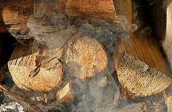 Smoldering firewood logs with rising smoke in a rustic stove