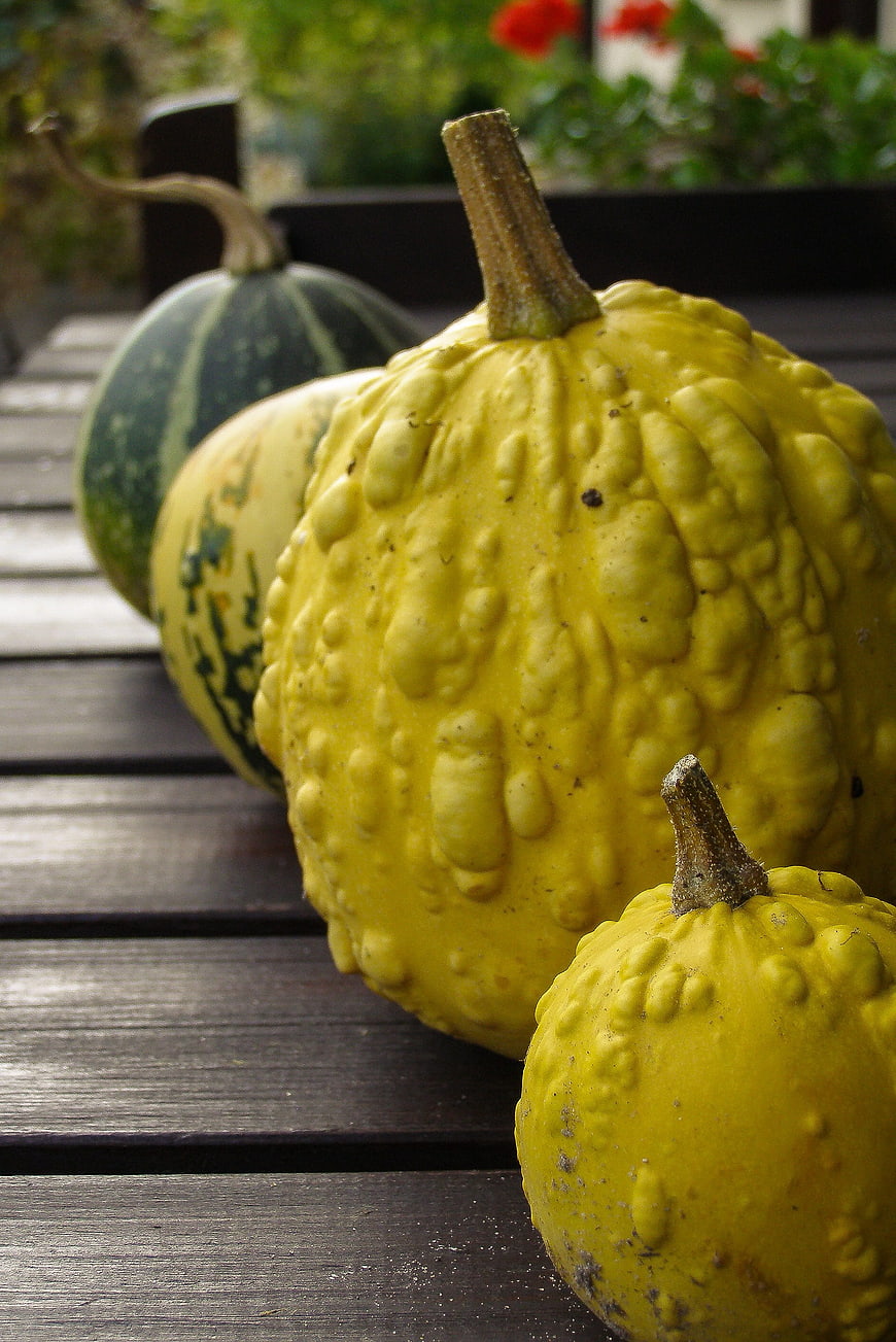 Yellow and Green Decorative Pumpkins on Wooden Deck