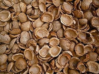 Close-up texture of cracked almond shells background