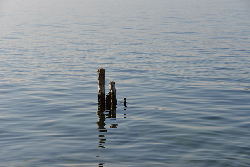 Weathered Wooden Stakes in Calm Lake Water