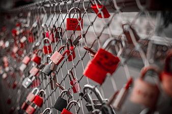 Red Love Locks on Chain Link Fence