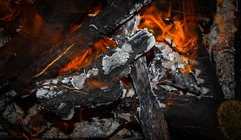 Close-up of burning wood logs and flames in a fire pit