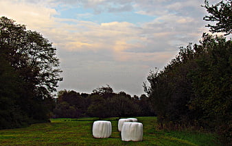 White Hay Bales in Green Meadow at Dusk