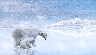 Polar bear and cub in snowy arctic landscape with mountains