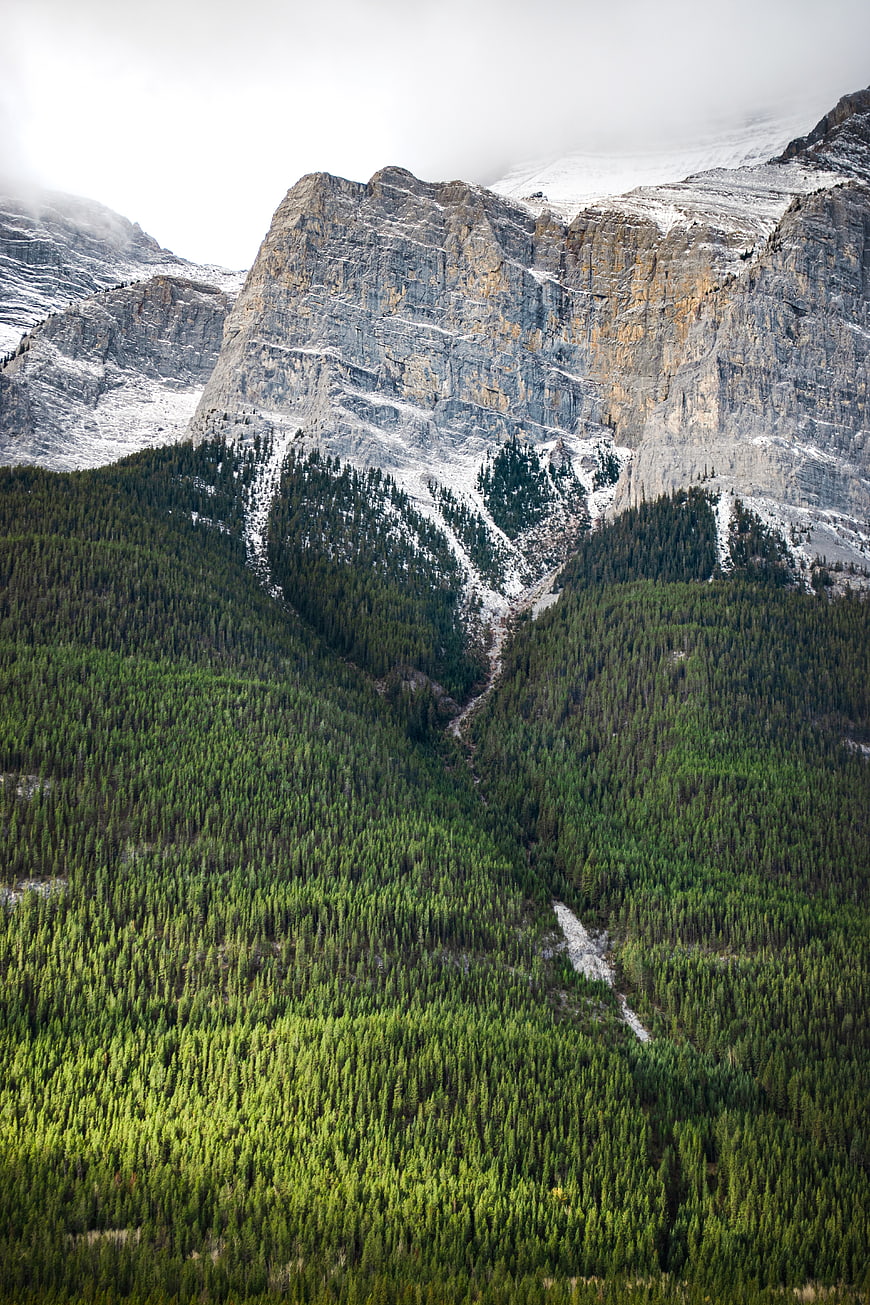 Majestic Rocky Mountain Peak with Snow and Pine Forest