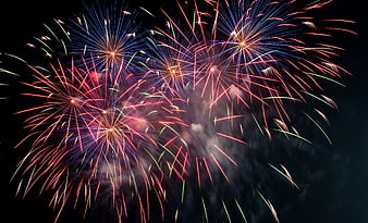 Vibrant red and blue fireworks exploding in the night sky