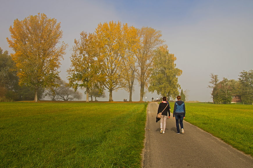 Couple Walking on Country Path in Autumn Fog