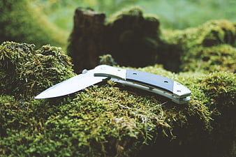 Silver folding knife resting on green moss in forest