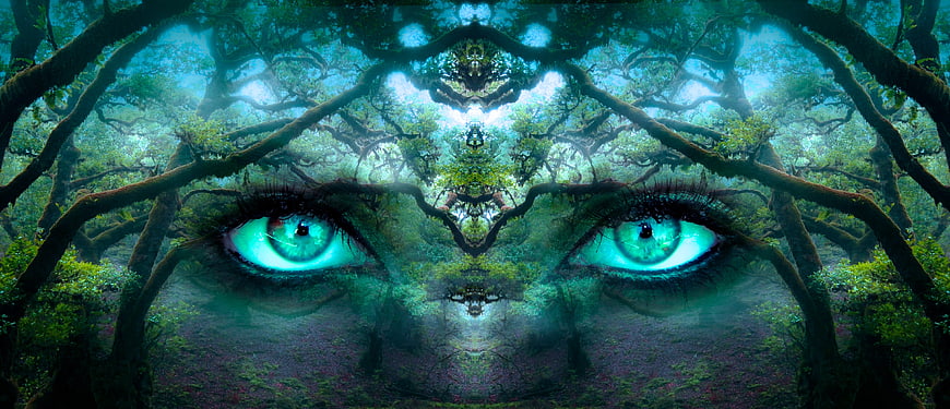 Surreal mystical forest eyes with glowing teal irises