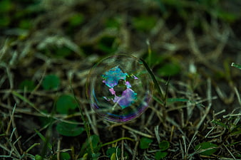 Iridescent soap bubble resting on green grass