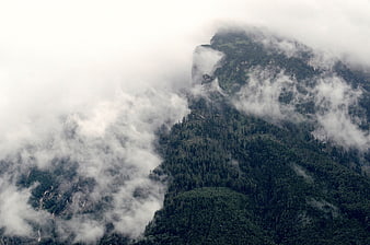 Misty Mountain Peak with Clouds and Forest