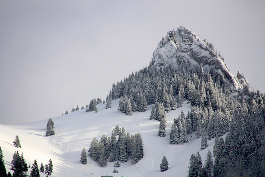 Snow-Covered Mountain Peak with Pine Forest in Winter