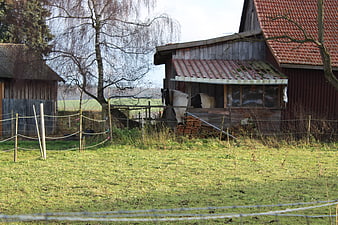 Horses in rustic stable with red tiled roof and green pasture