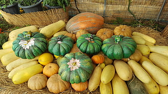 Colorful Harvest Display of Pumpkins and Squash on Hay