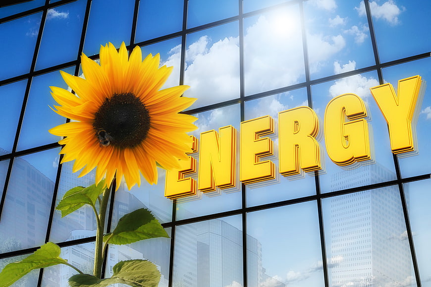 Sunflower and Energy Text on Glass Skyscraper
